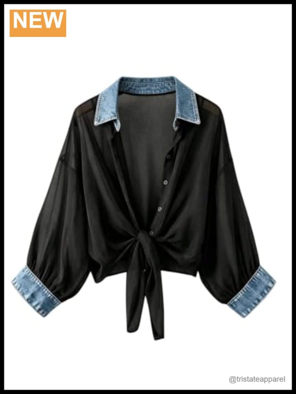 Sheer Mesh Blouse Button Down Bishop Long Sleeve Drop Shoulder